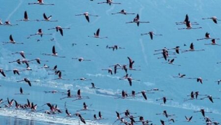 Başkan Soyer Çiğli Arıtma Tesisi’ndeki çalışmaları inceledi İZSU’dan temiz Körfez için tarihi adımlar