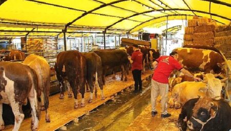 İstanbul Kurban Bayramına hazır