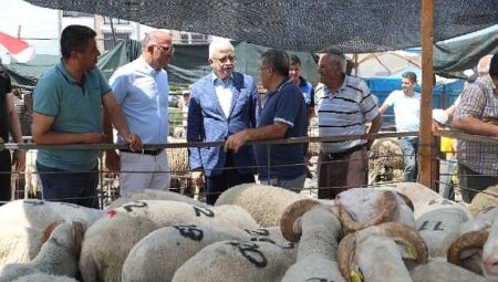 Kurban Bayramı öncesi denetim