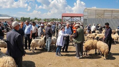 Van Büyükşehir Belediyesi canlı hayvan pazarında bilgilendirme yaptı