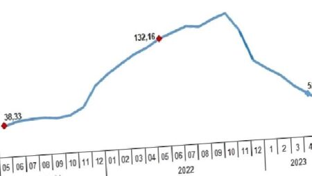 Yurt İçi Üretici Fiyat Endeksi (Yİ-ÜFE) yıllık %40,76, aylık %0,65 arttı