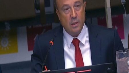 “Avcılar Modeli” Üst Üste İkinci Defa Birleşmiş Milletler’de