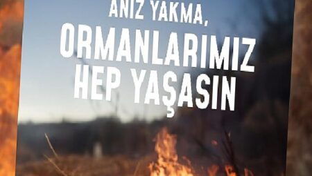 Bir kıvılcım geleceğimizi yakmasın, ormanlarımız hep yaşasın!