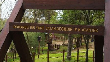 Lüleburgaz Kent Ormanına bu yılın ilk 6 ayında 64 bin 500 ziyaretçi geldi.