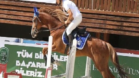 Minik binicilerin kalbi “Sporun Başkenti Kocaeli”de attı