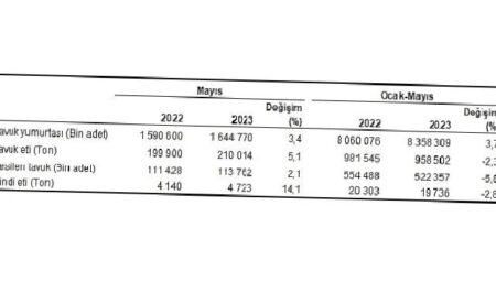 Tavuk eti üretimi 210 bin 14 ton, tavuk yumurtası üretimi 1,64 milyar adet olarak gerçekleşti