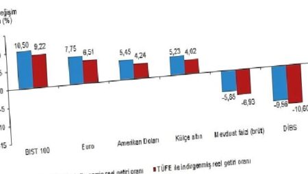 Aylık en yüksek reel getiri BIST 100 endeksinde oldu