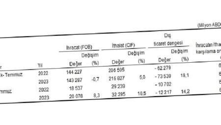 Temmuz ayında genel ticaret sistemine göre ihracat yüzde 8,3, ithalat yüzde 10,5 arttı