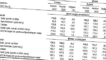 TÜİK: İhracat birim değer endeksi %1,6 azaldı