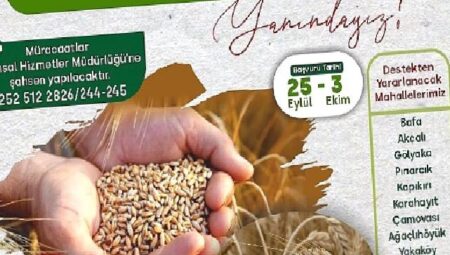 %50 Hibeli Buğday ve Tritikale Tohumu desteği başlıyor