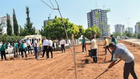 Başkan Özyiğit, “Bir Metre Asfalt Yapıyorsak Onun Yerine de Beş Ağaç Dikmeliyiz”