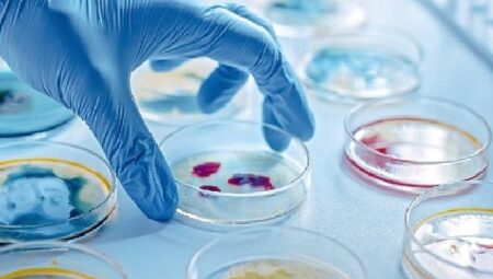 Enfeksiyonun En Ağır Hali: Sepsis