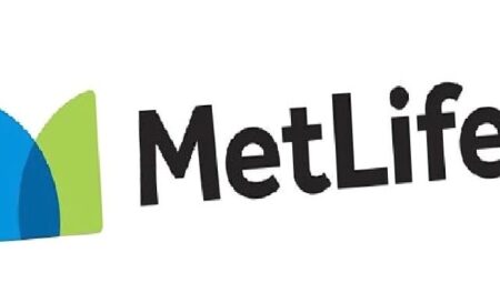 MetLife Türkiye Çalışanları, Daha Sürdürülebilir Bir Dünya için Gönüllü Çevre Temizliğine Devam Ediyor