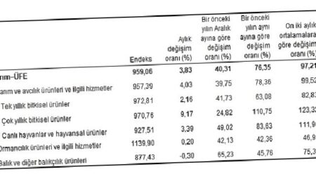 Tarım ürünleri üretici fiyat endeksi (Tarım-ÜFE) yıllık yüzde 76,35, aylık yüzde 3,83 arttı
