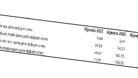 Yurt İçi Üretici Fiyat Endeksi (Yİ-ÜFE) yıllık yüzde 49,41, aylık yüzde 5,89 arttı