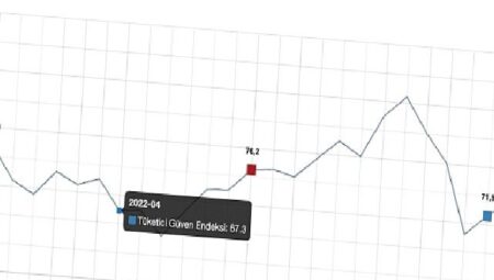 Tüketici güven endeksi 74,6 oldu