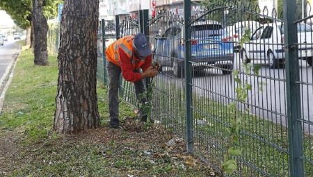 Büyükşehir’den Evliya Çelebi Caddesi’nde refüj çalışması