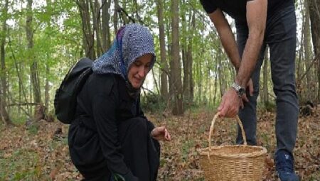 Kocaeli’nde Ormanya’da mantar avı düzenlendi