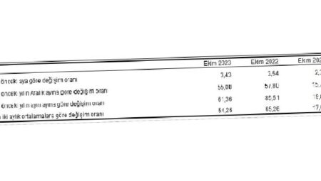 Tüketici fiyat endeksi (TÜFE) yıllık yüzde 61,36, aylık yüzde 3,43 oldu