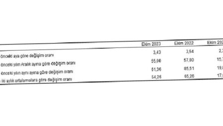 Tüketici fiyat endeksi (TÜFE) yıllık yüzde 61,36, aylık yüzde 3,43 oldu