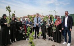 Keçiören Belediyesi tarafından tarımsal üretimi desteklemek için 205 Bin Fide Çiftçilere Dağıtıldı