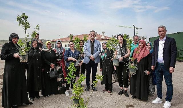 Keçiören Belediyesi tarafından tarımsal üretimi desteklemek için 205 Bin Fide Çiftçilere Dağıtıldı