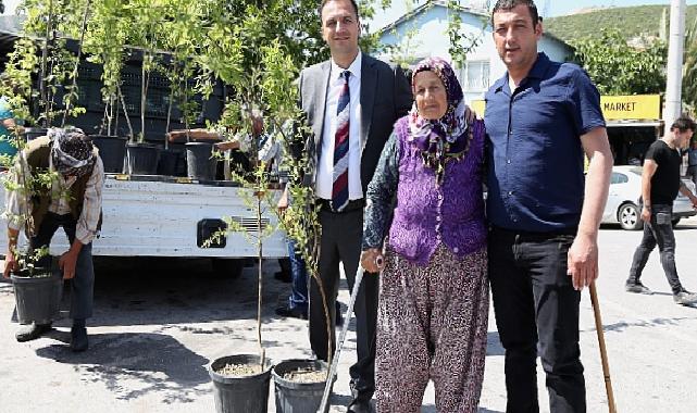 Bir yılda 10 bin meyve fidanı dağıtılacak