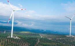 Enerjisa Üretim Rüzgar Günü Zirvesi / Enerjinin geleceği yenilenebilir enerjide