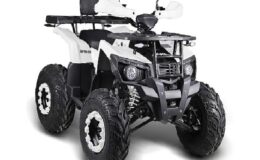A101’e 20 Haziran’da Uygun Fiyatlı Benzinli ATV Geliyor