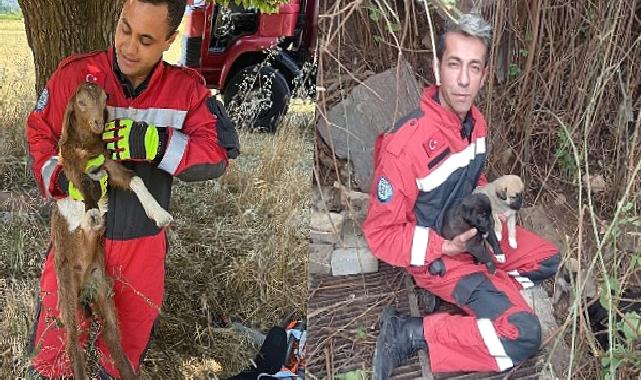 Muğla Büyükşehir İtfaiyesinden Hayvan Kurtarma Operasyonu
