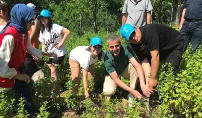 Özel çocuklarımız sebze ve aromatik bitki yetiştiriyor