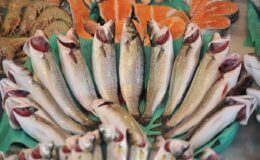 Su ürünleri ve hayvansal mamuller sektöründe 21 ihracat şampiyonunun 11’i Egeli