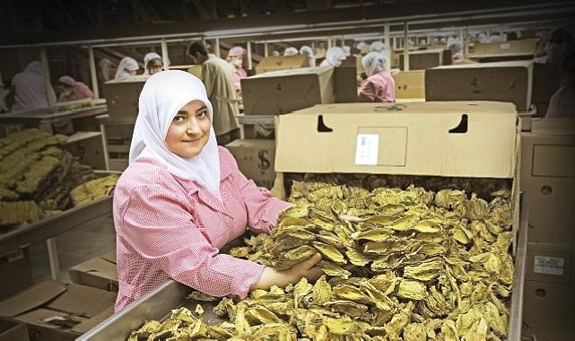 Ege Bölgesi’nin ihracatı 2024 yılının ilk yarısında yüzde 5 azaldı
