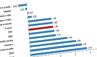 Tüik: Tüketici fiyat endeksi (TÜFE) yıllık %71,60, aylık %1,64 arttı